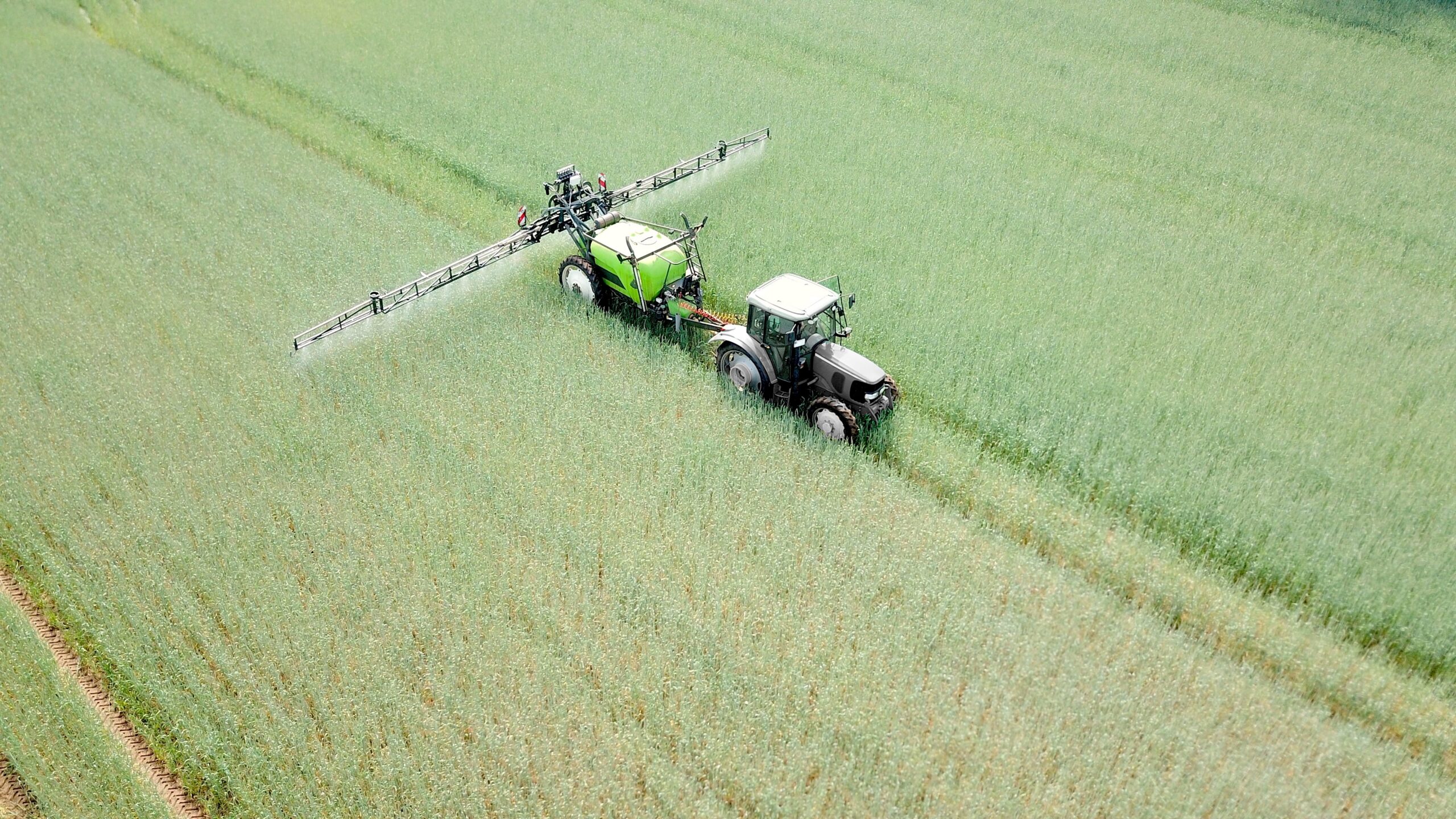 tractor with field sprayer sprays pesticides or fertilizer on a wheat field, insecticide, fungicide, herbicide, plant protection product, plant protection