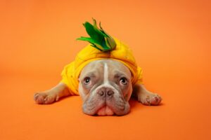 https-www-wormsandgermsblog-com-files-2026-07-pineapple-head-1785412340-12344-6352-lxb_photoewfhxbcufa0lxb_photo-300x200-jpg