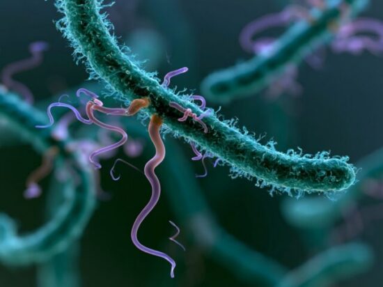 https-www-campylobacterblog-com-files-2026-07-image-640x479-jpeg