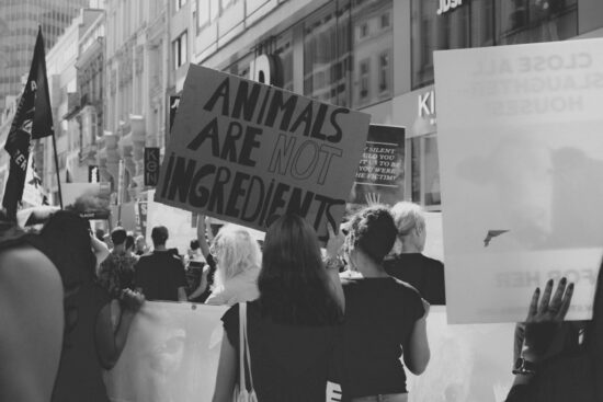 https-i0-wp-com-ukhumanrightsblog-com-wp-content-uploads-2026-07-yohann-libot-p3a6n8vhcxk-unsplash-1-jpgresize1024%2c683ssl1