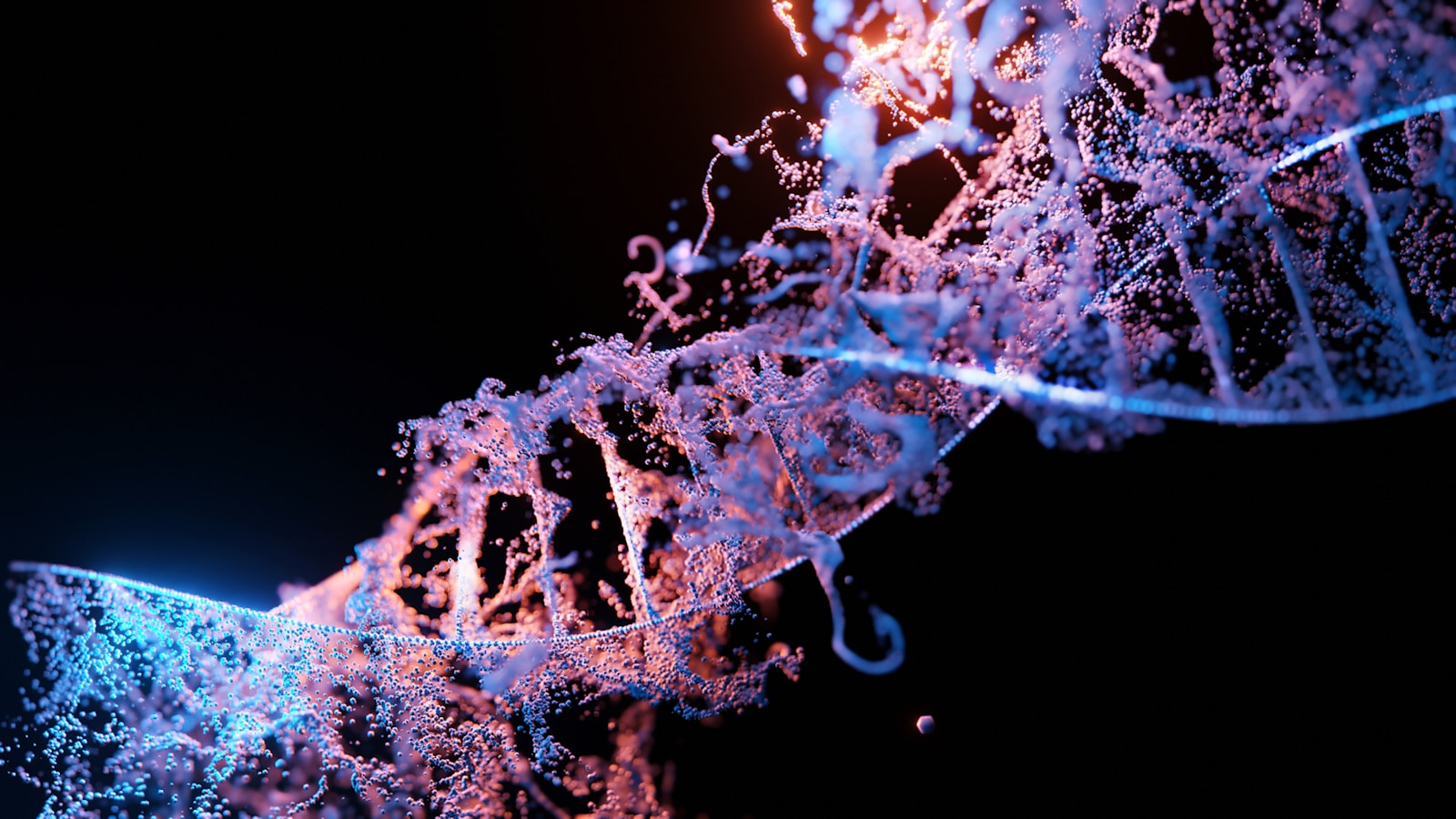 1787946998-3971303-9367-lxb_photo8o_LkMpo8uglxb_photo-
