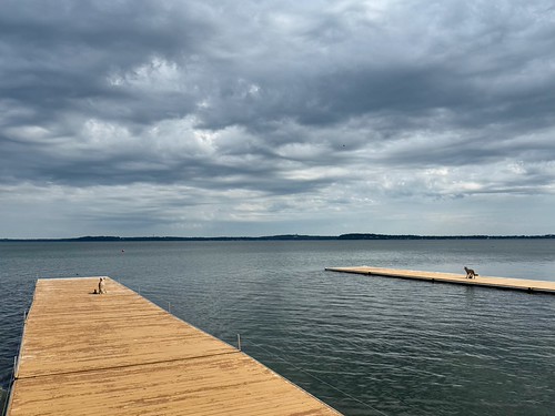 https-live-staticflickr-com-65535-55476912610_746677dd84-jpg