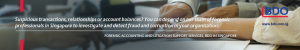 https-fcpaprofessor-com-wp-content-uploads-2019-08-bdo-singapore-300x50-png