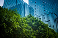 https-www-freshlawblog-com-wp-content-uploads-sites-15-2023-06-environmental-tree-and-building-jpg