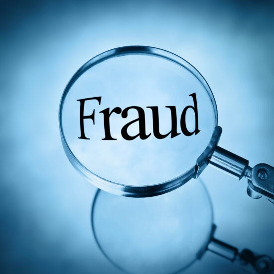 DOJ's New Fraud Division Lays Out Its Enforcement Priorities: What Companies Need to Know