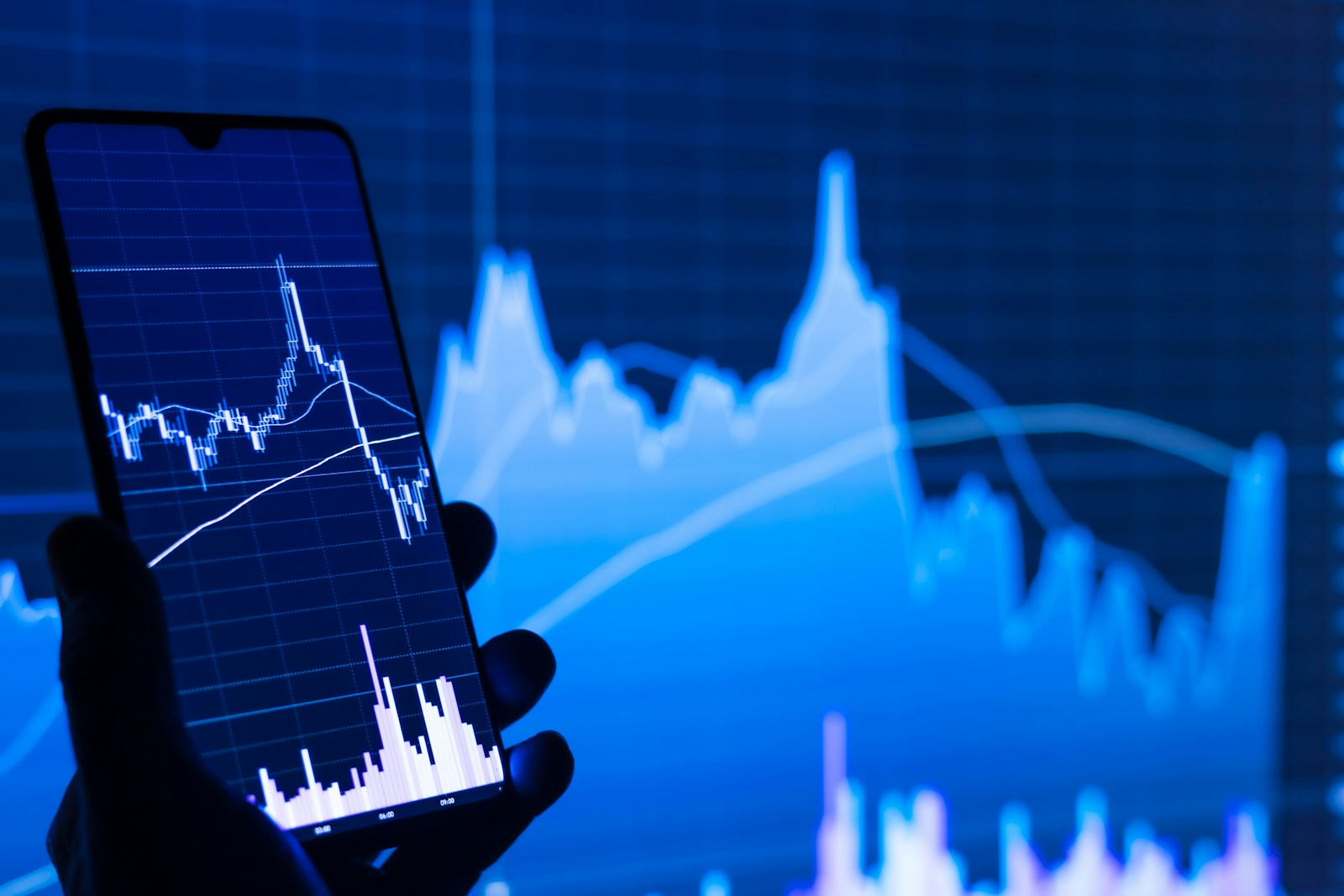 More from this series? Click the link https://istockphoto.6q33.net/9WQVxj