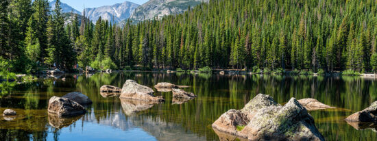 Bear,Lake,-,A,Sunny,Summer,Morning,View,Of,A