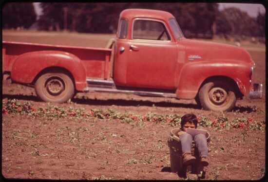 https-free-images-com-lg-bb2f-child_radish_pickers_nara-jpg