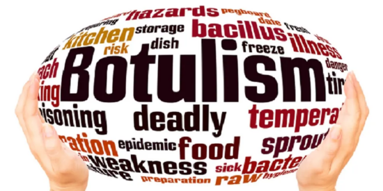 https-storage-ghost-io-c-43-4e-434e508a-5e2f-4102-a53d-00bca10bb4bf-content-images-2026-07-dreamstime_botulism_clostridium-botulinum-png
