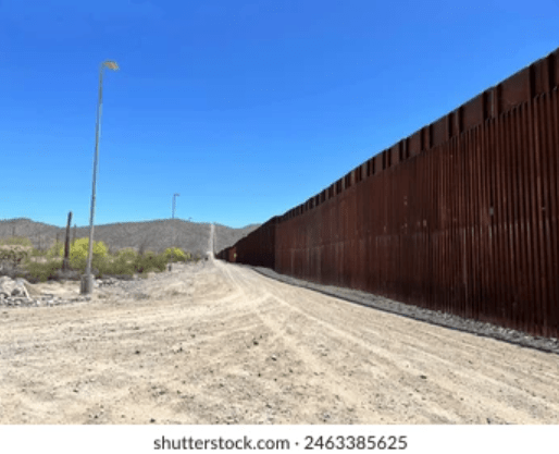 https-turtletalk-blog-wp-content-uploads-2026-08-image-14-pngw514