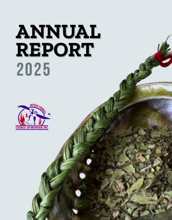 https-turtletalk-blog-wp-content-uploads-2026-08-itcmi-annual-report-screenshot-2026-08-15-130341-1-jpgw598