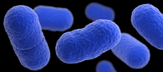 https-www-foodpoisonjournal-com-files-2019-08-listeria_875px-825x365-jpg