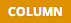 https-www-slaw-ca-wp-content-themes-slaw2012-images-slaw-column-png
