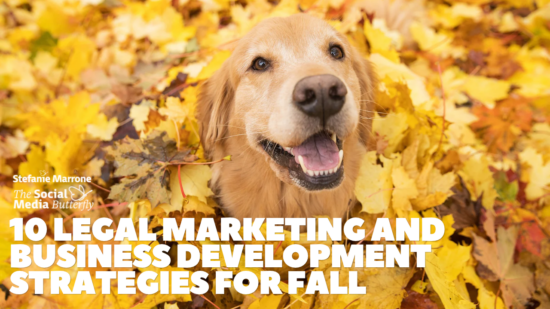10 Legal Marketing and Business Development Strategies for Fall (2)