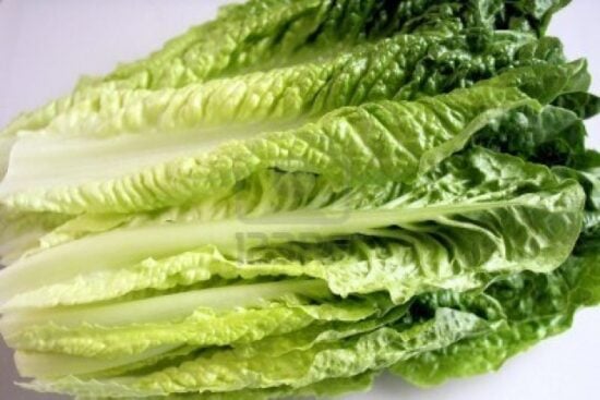 https-www-marlerblog-com-files-2013-02-8817314-fresh-organic-romaine-lettuce-640x427-jpg