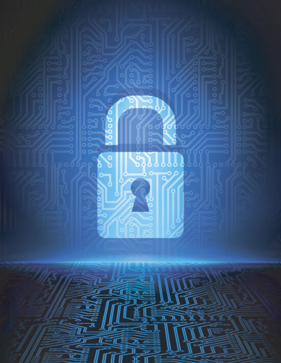 Vector data security background