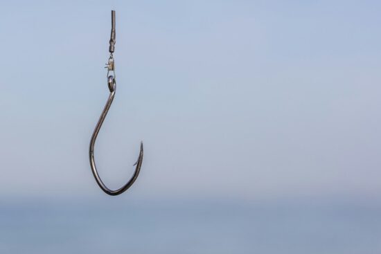 "Hope is such a bait, it covers any hook." Oliver Goldsmith
