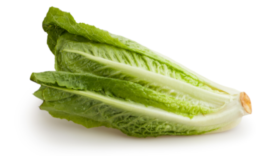 https-storage-ghost-io-c-43-4e-434e508a-5e2f-4102-a53d-00bca10bb4bf-content-images-2026-09-romaine-lettuce-head-png