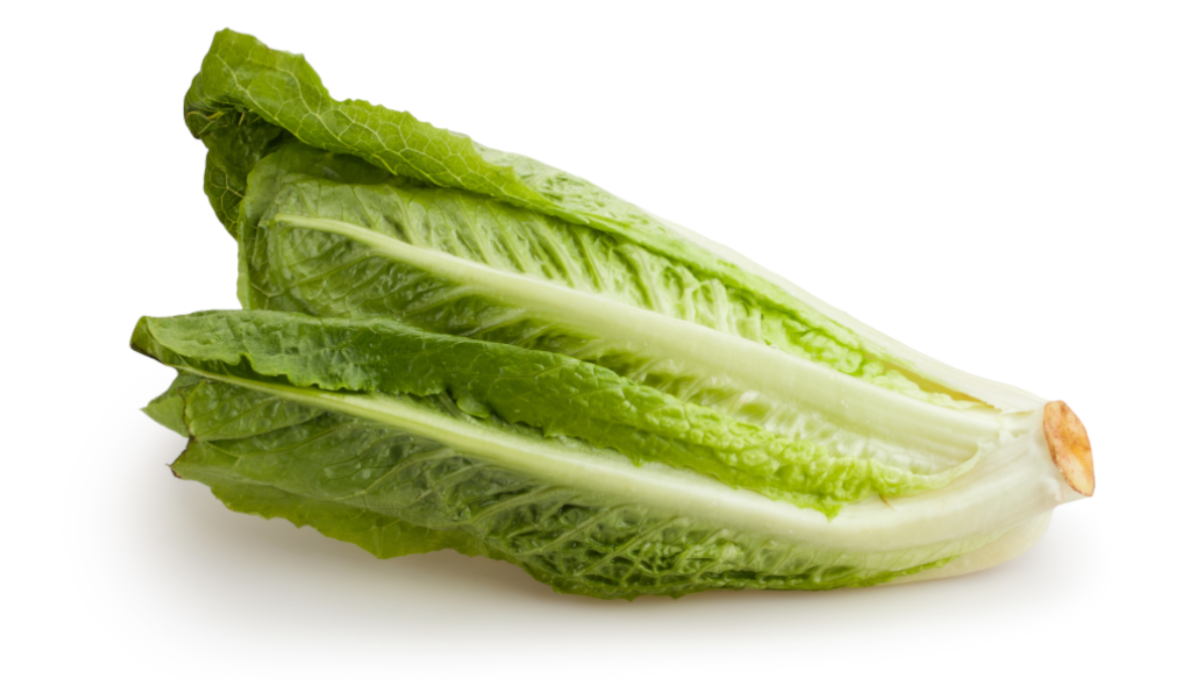 FDA quietly closes outbreak investigation naming romaine lettuce as cause