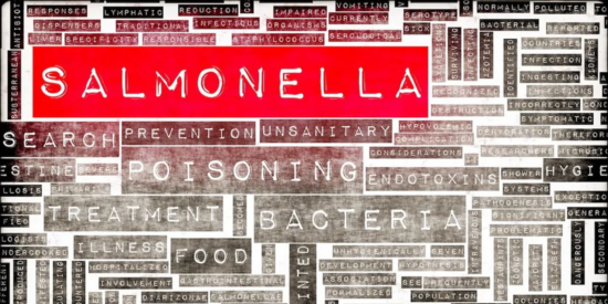 https-storage-ghost-io-c-43-4e-434e508a-5e2f-4102-a53d-00bca10bb4bf-content-images-2026-09-salmonella_salmonellosis-1-png