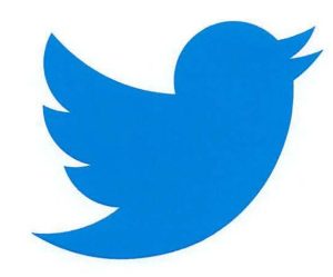 https-blog-ericgoldman-org-wp-content-uploads-2026-09-twitter-bird-300x249-jpg