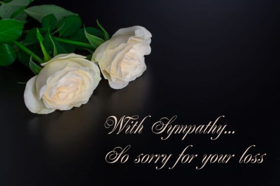 166795310 - beautiful flowers with text condolences