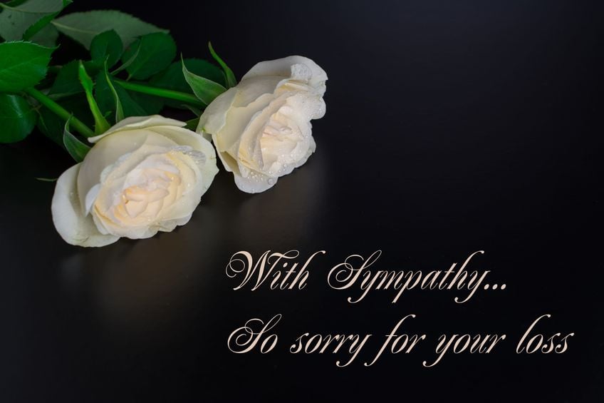 166795310 - beautiful flowers with text condolences