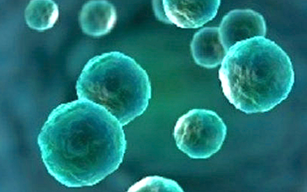 https-www-foodpoisonjournal-com-files-2021-04-cyclospora-png
