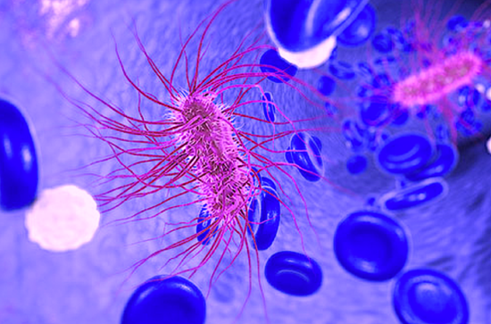 https-www-foodpoisonjournal-com-files-2021-04-e-coli-png