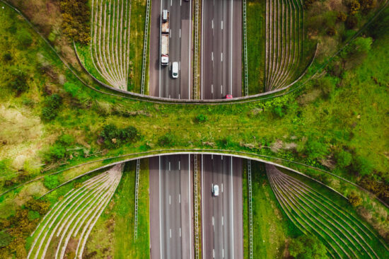 GettyImages-1488179335_50034