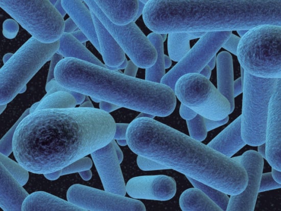 https-www-foodpoisonjournal-com-files-2019-08-listeria-640x480-jpg