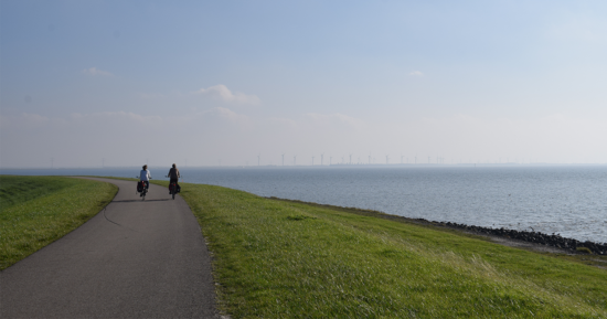 The Dutch Way