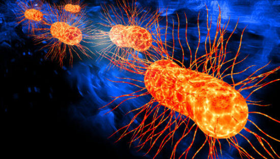 https-www-ecoliblog-com-files-2021-07-e-coli-illustration-600x342-1-jpg