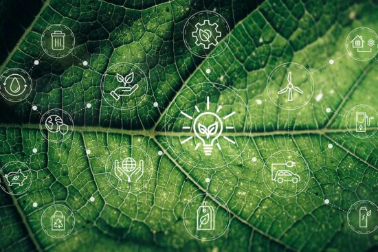 green-business