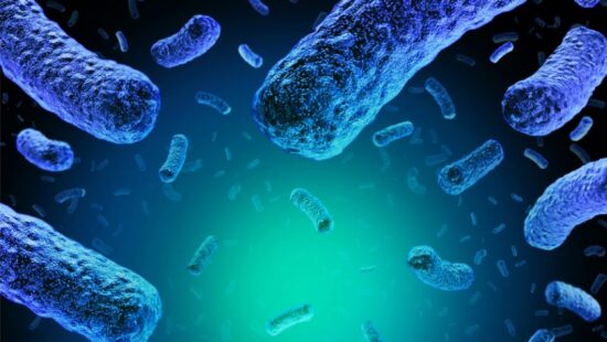 https-www-foodpoisonjournal-com-files-2019-07-listeria-bacteria-microscopic-jpg