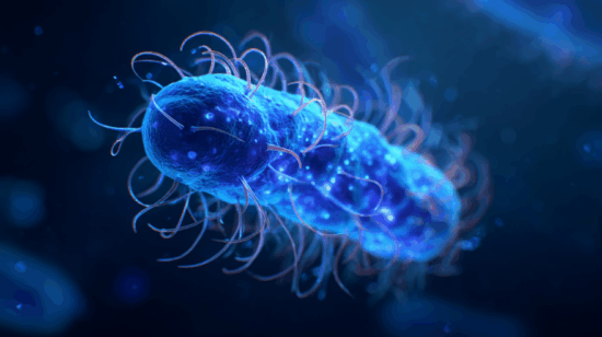 https-www-foodpoisonjournal-com-files-2025-10-u1272729531_oregon_e-_coli_-ar_169_-v_7_5122272f-ab81-4d65-9d14-ecc4b0c3a64a_2-880x493-png